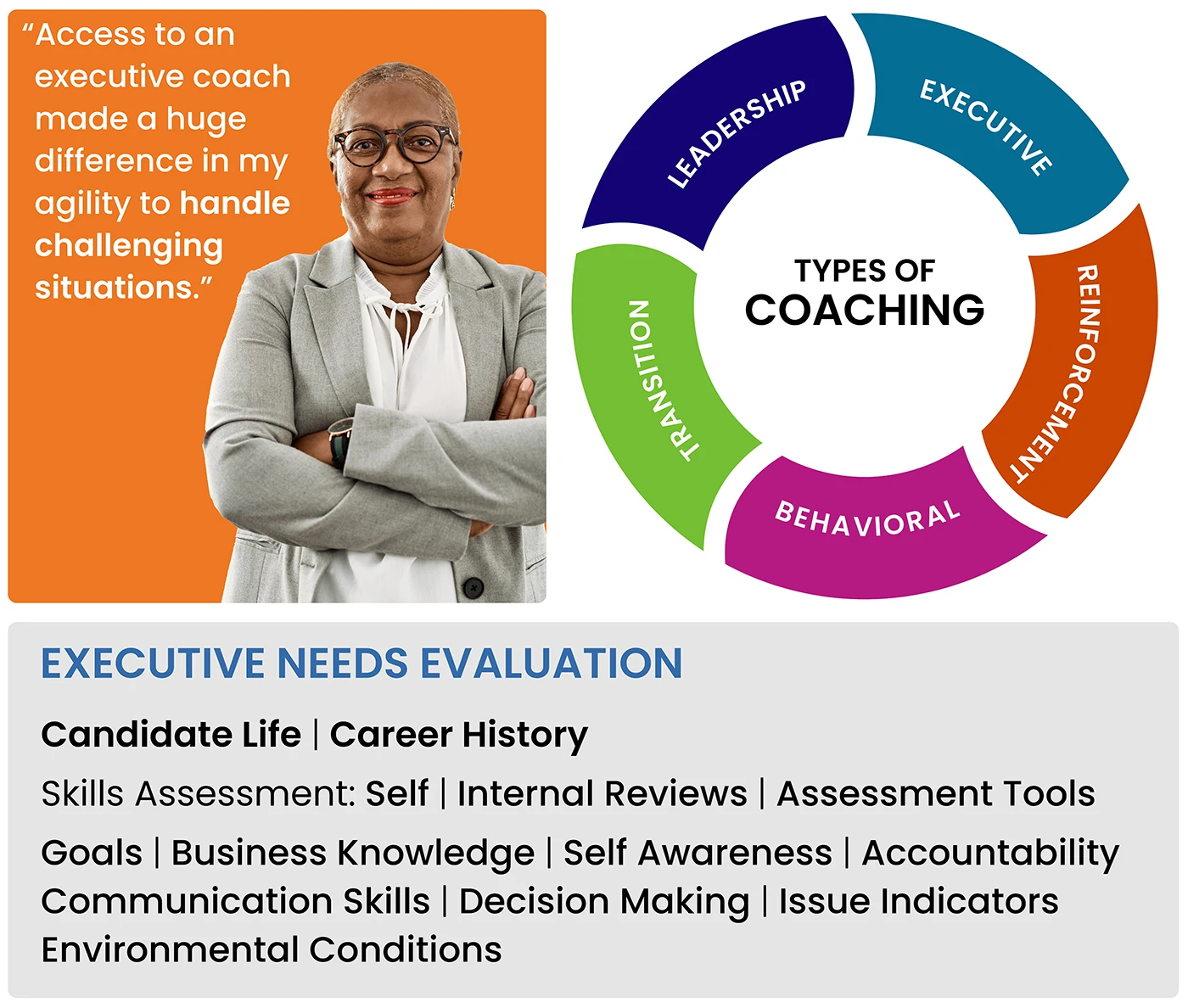 Executive Development & Coaching - NexaLearning